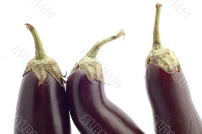aubergine close up