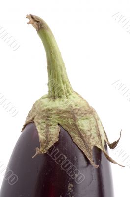 aubergine closeup