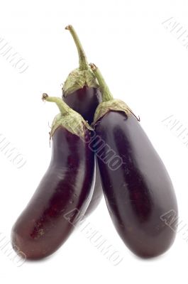 Three aubergine