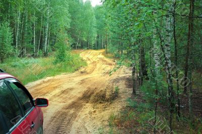 Automobile travel to wild forest in the autumn