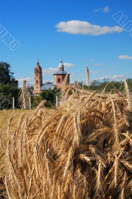 russia village rural landscape 2
