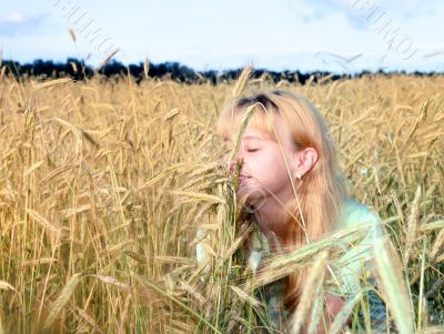 Sunny young beauty girl the field under blue sky 2