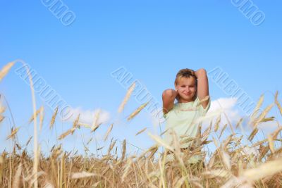 Sunny young beauty girl the field under blue sky 3