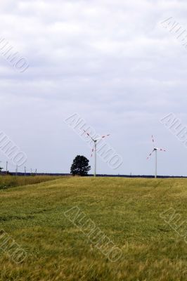 The wind turbines