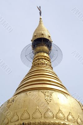 Top