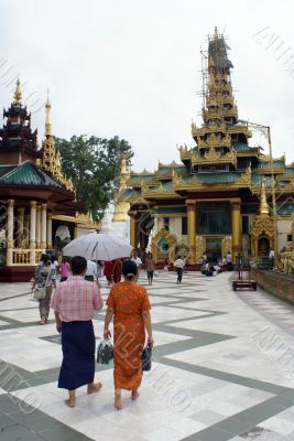 People and paya