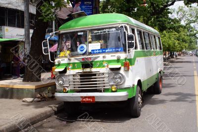 Bus