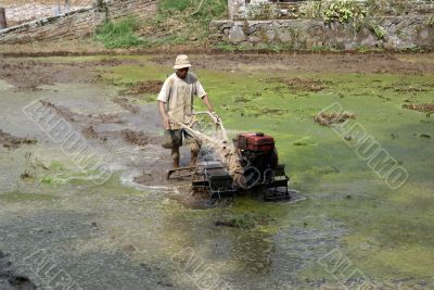 Farmer