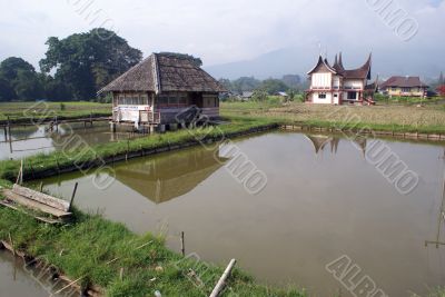 Houses and pond