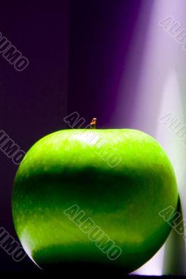 Shiny green Granny Smith apple