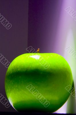 Shiny green Granny Smith apple