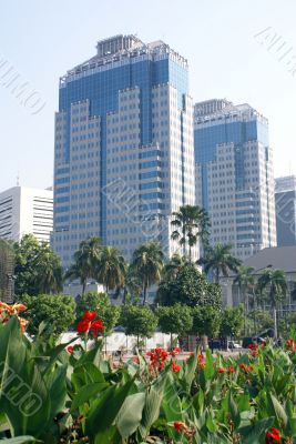 Flowers and buildings