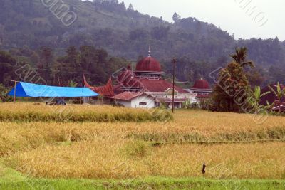Mosque with red roof