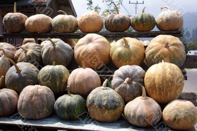 Pumpkins on the table