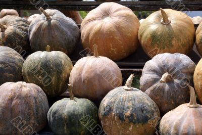 Pumpkins