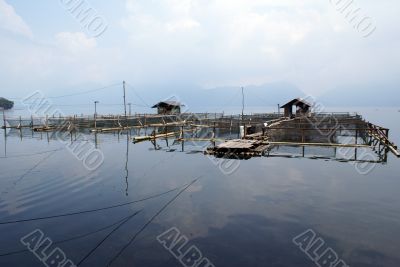 Fishing nets