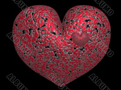 Heart