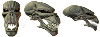 3D Fantasy Skulls