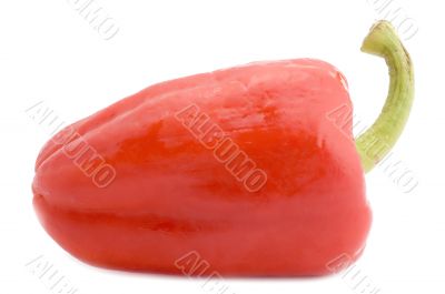 Red pepper