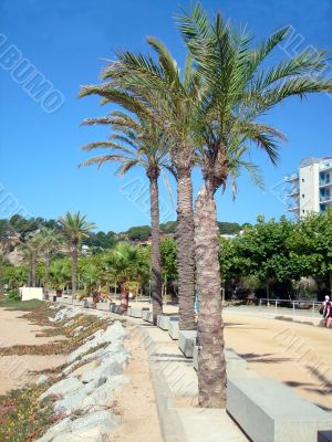 Calella Promenade Spain