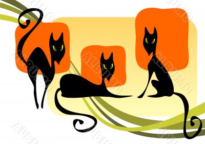 three black cats