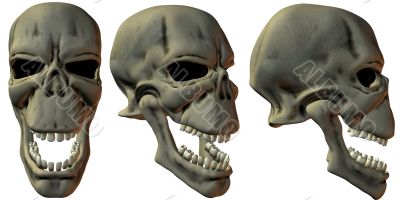 3D Fantasy Skulls