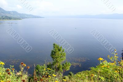 Toba