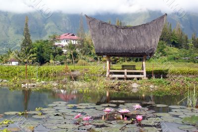 Traditional house