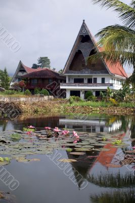 House and lotuses