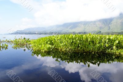 Toba and Samosir