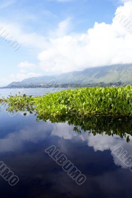 Toba