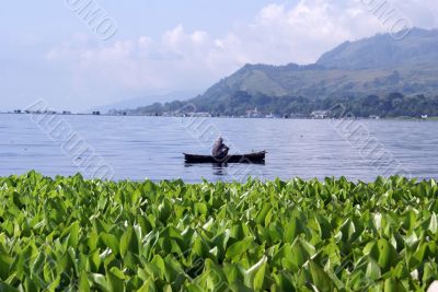 Grass and boat
