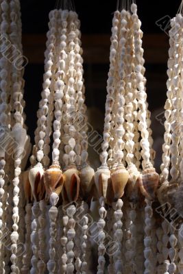Shell necklace