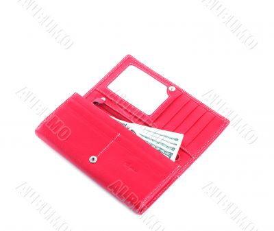 open purse feminine red with money 3