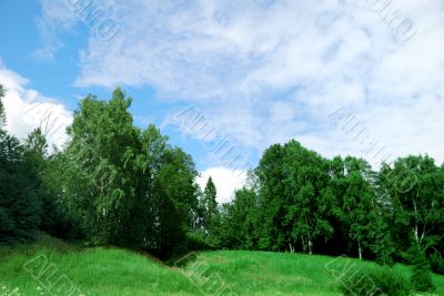 Landscape of a green field with trees and a bright blue sky