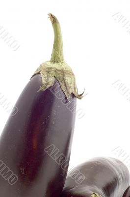 aubergine closeup