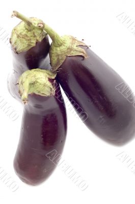 aubergine macro