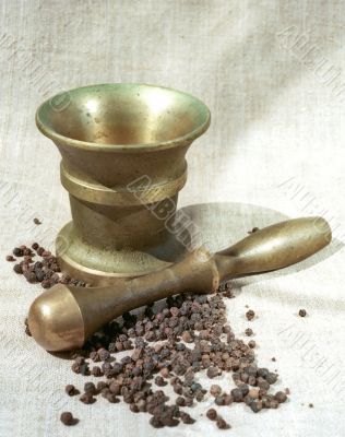Pepper, copper pounder and pestle