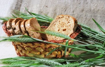 Bread and spicas of rye