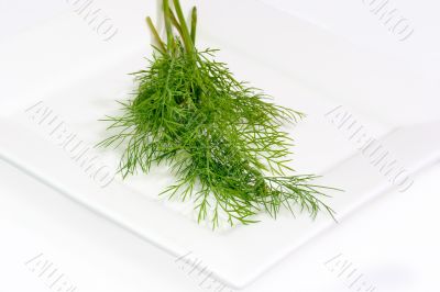 Fresh dill