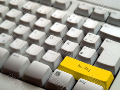 AnyKey