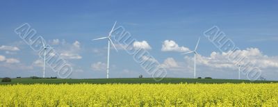 farm of windturbines close to rape field