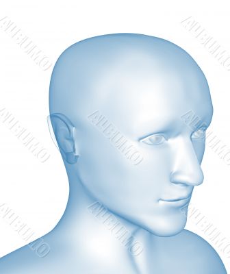 Transparent 3d head of the man - x-ray