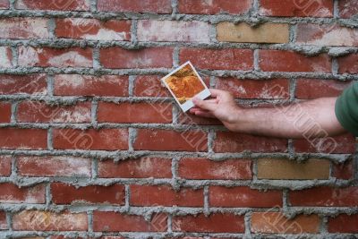 Brick Wall