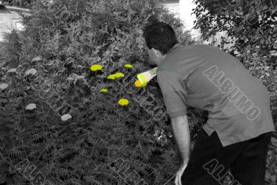 Adding Color To Life