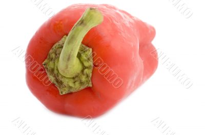 Red pepper closeup