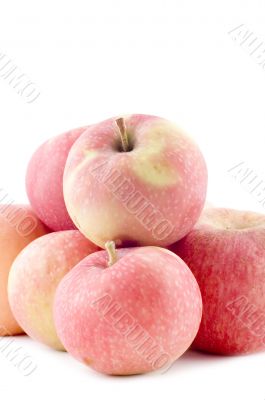 colored apple closeup