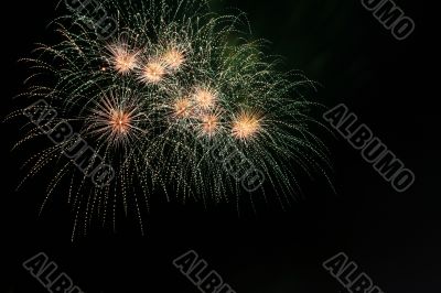sea urchin fireworks