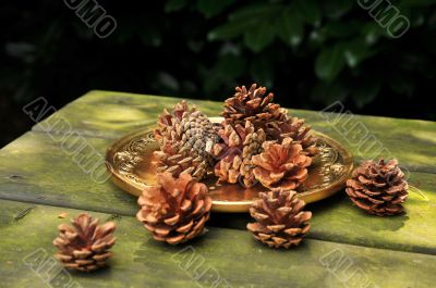 pine cones