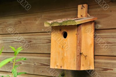 birdhouse